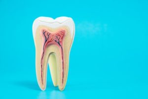 tooth enamel on blue background